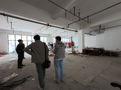 yOӋb޹˾|yز͏dOӋbĿF