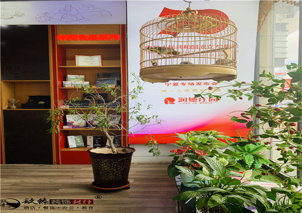 �y��չ�d�b��|�y��չ�d�b���OӋ|�N���b�